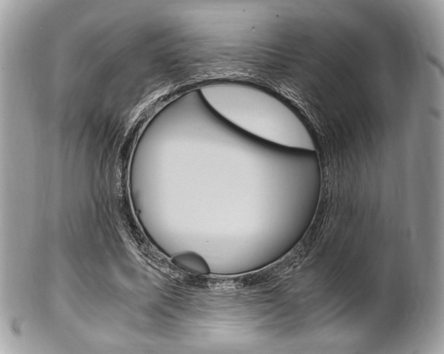 X0000101410587200807071008