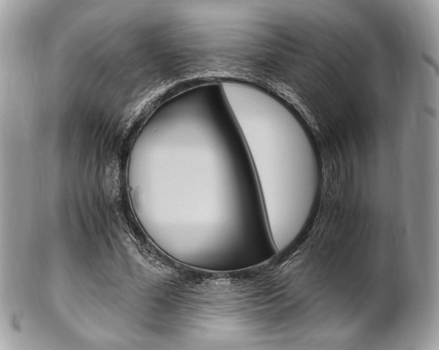 X0000101410588200807071008