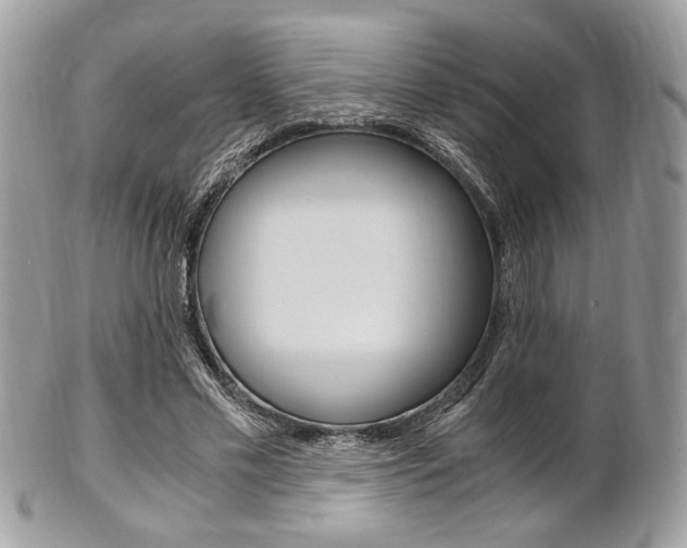 X0000101410589200807071008