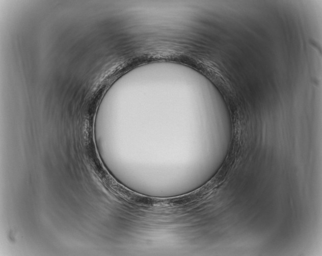 X0000101410591200807071008