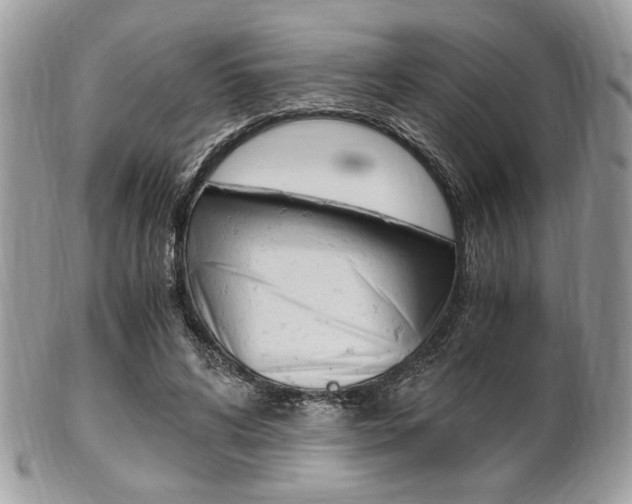 X0000101410592200807071008