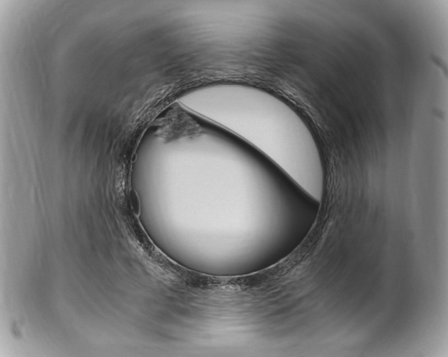 X0000101410593200807071008