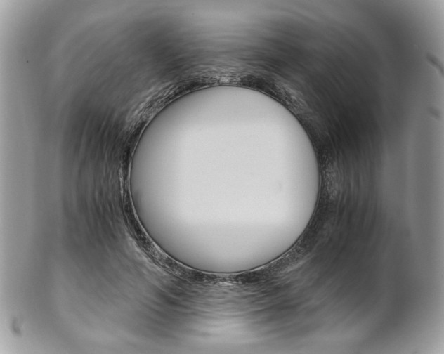 X0000101410594200807071008