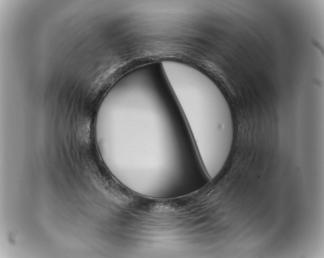 X0000101410596200807071008