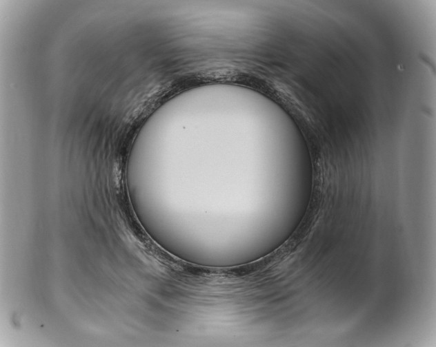 X0000101410597200807071008