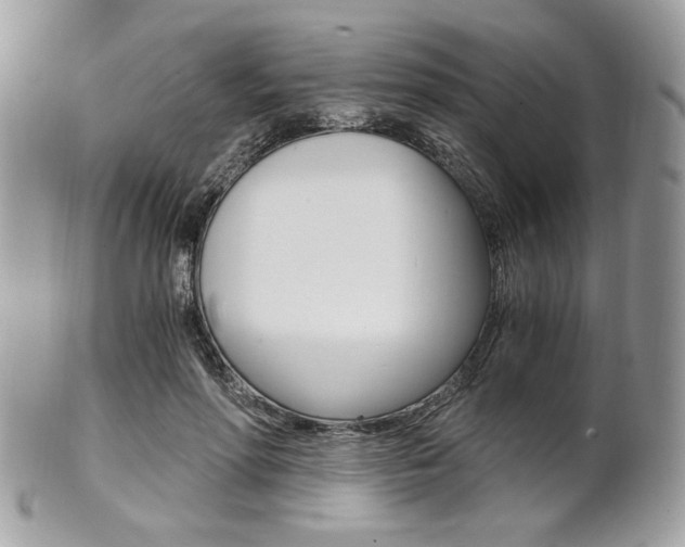 X0000101410598200807071008