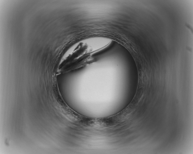 X0000101410601200807071008