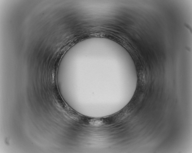 X0000101410602200807071008