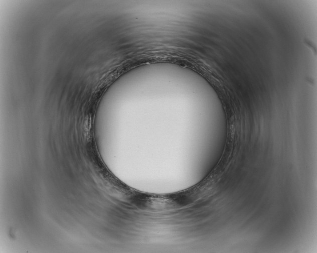 X0000101410605200807071008