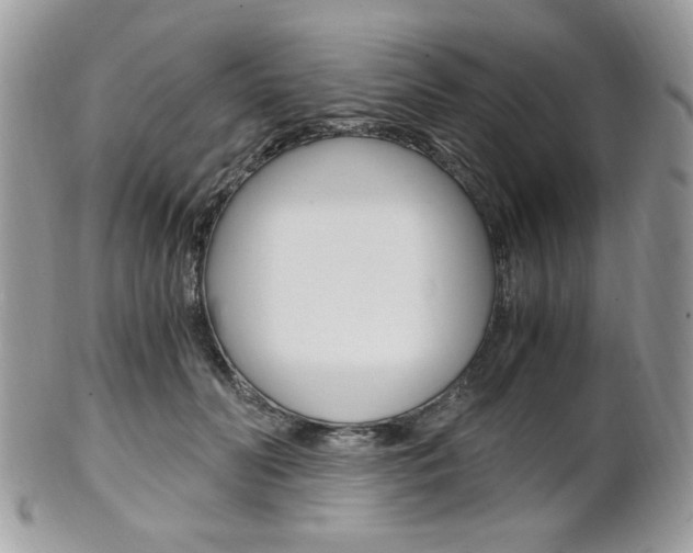 X0000101410606200807071008