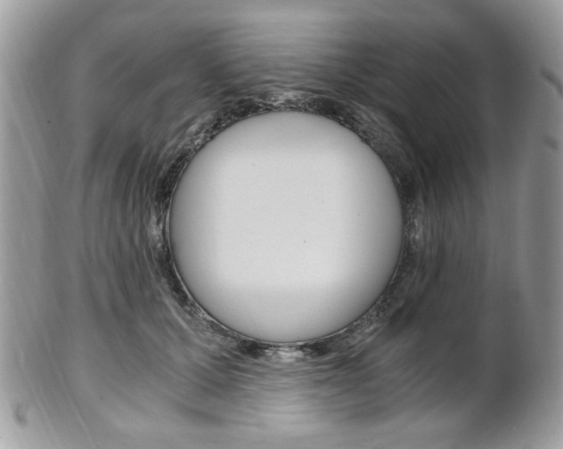 X0000101410607200807071008