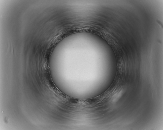 X0000101410608200807071008