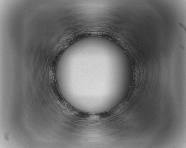 X0000101410609200807071008