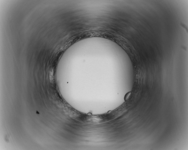 X0000101410610200807071008