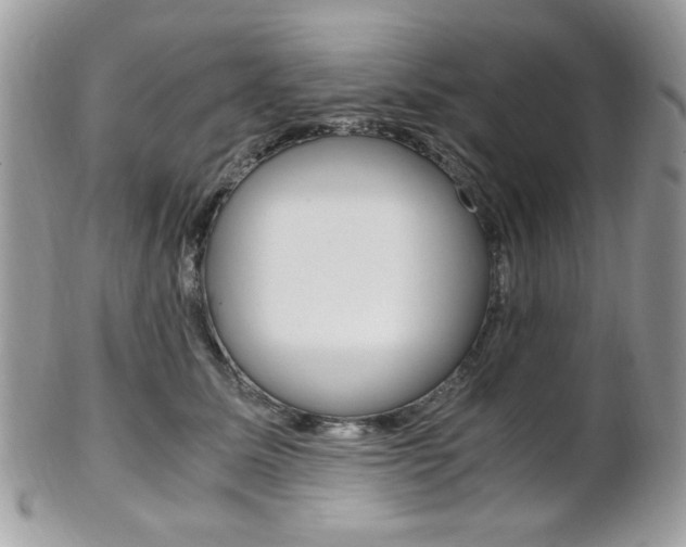 X0000101410611200807071008