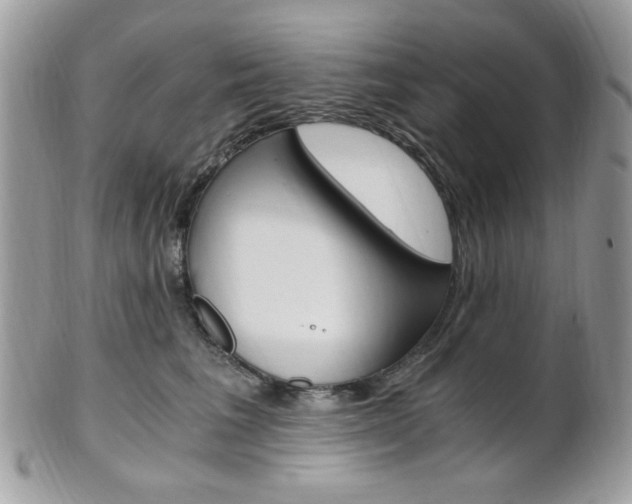 X0000101410613200807071008