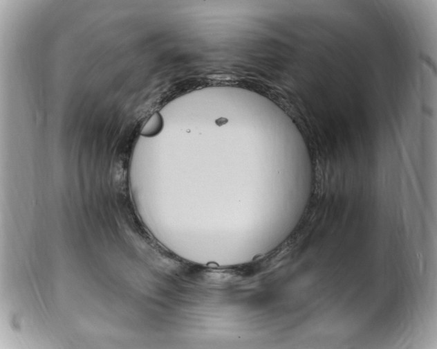 X0000101410614200807071008