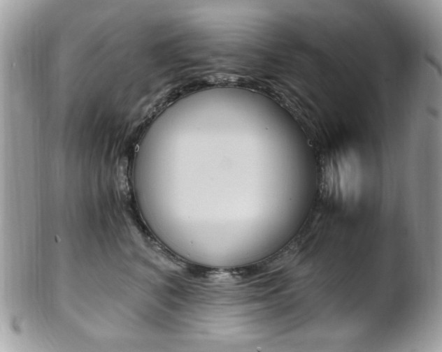 X0000101410616200807071008
