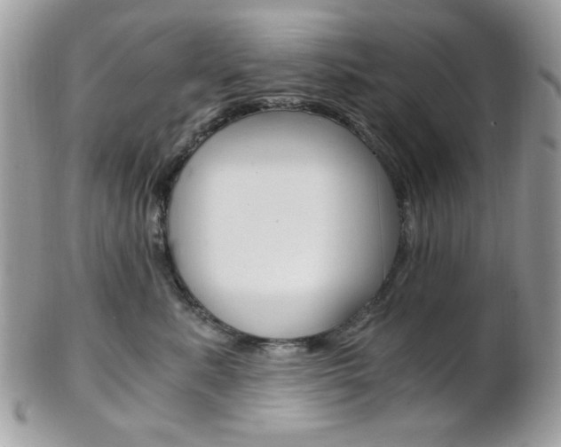 X0000101410619200807071008