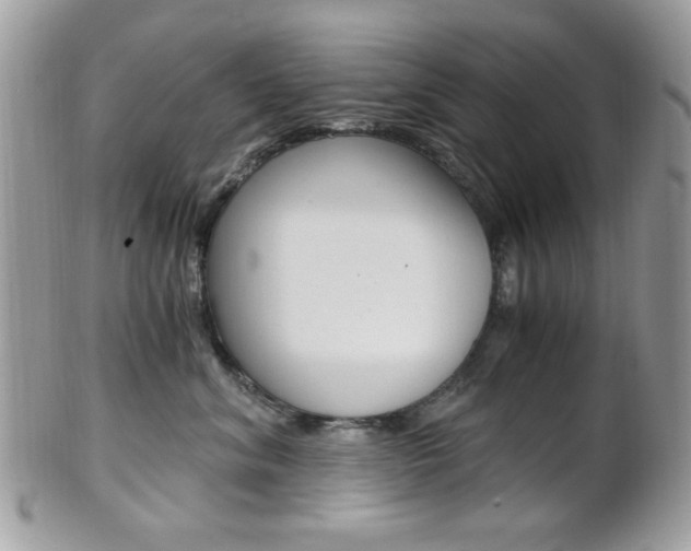 X0000101410620200807071008