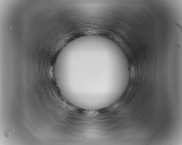 X0000101410621200807071008