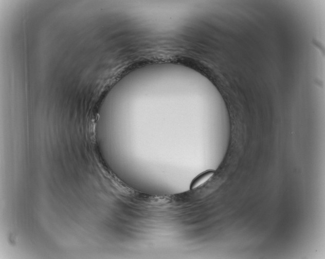 X0000101410624200807071008
