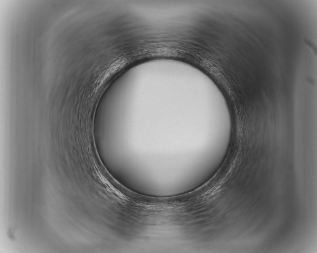 X0000101410625200807071007