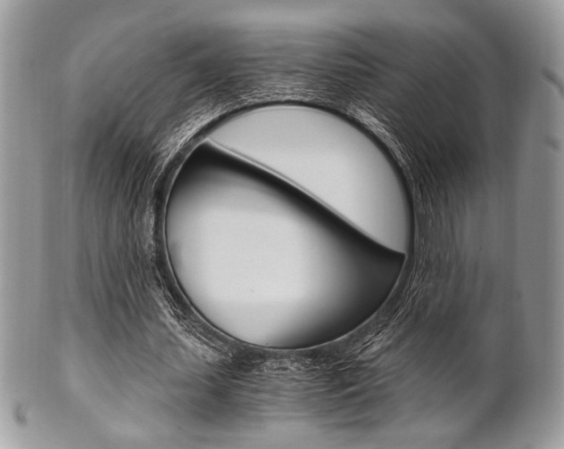 X0000101410627200807071007