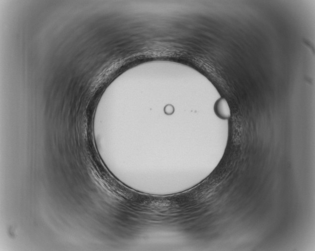 X0000101410631200807071007