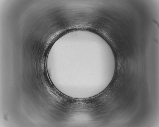 X0000101410632200807071007