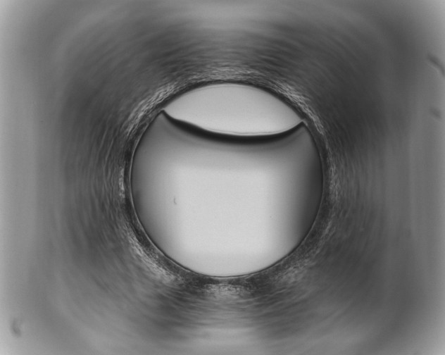 X0000101410633200807071007