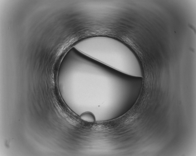 X0000101410634200807071007