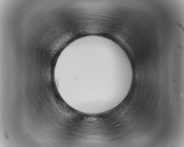 X0000101410635200807071007