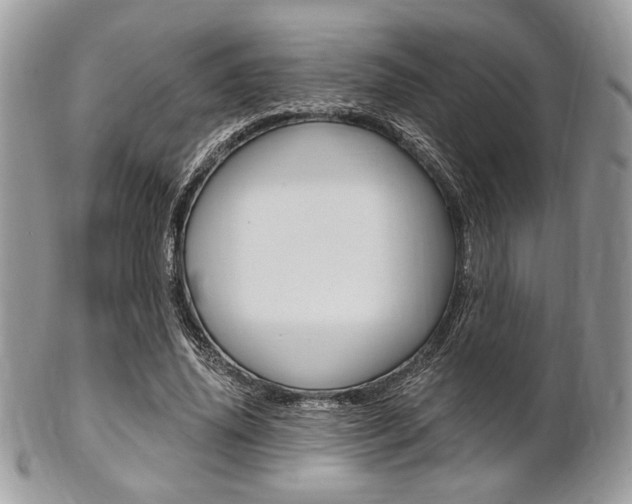 X0000101410636200807071007
