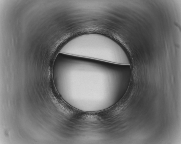 X0000101410637200807071007