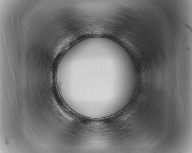 X0000101410638200807071007