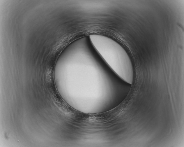 X0000101410641200807071007