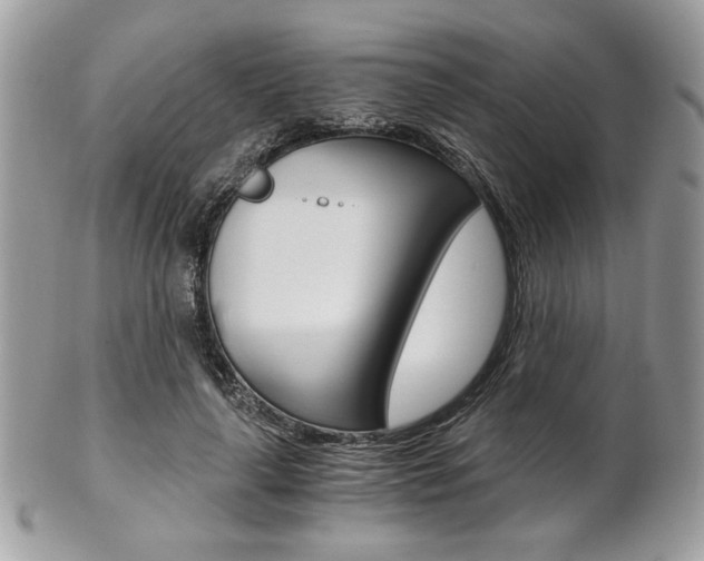 X0000101410643200807071007