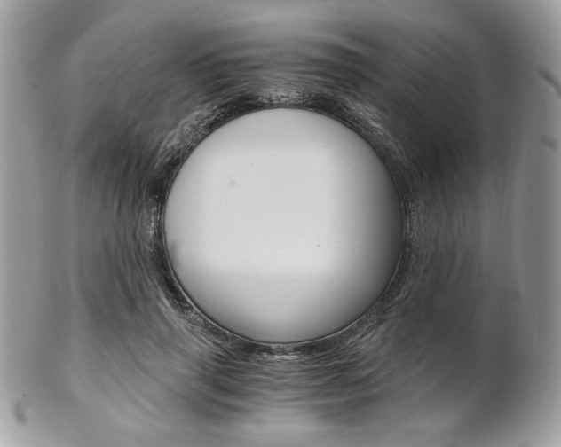 X0000101410645200807071007