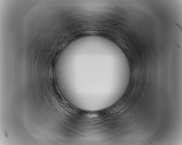 X0000101410651200807071007