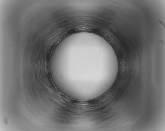 X0000101410653200807071007