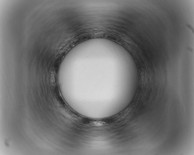 X0000101410654200807071008