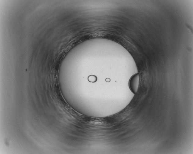 X0000101410655200807071008
