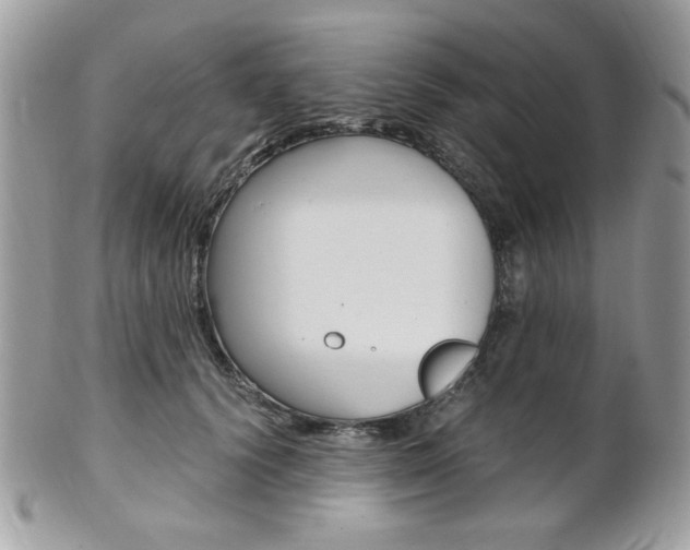 X0000101410656200807071008