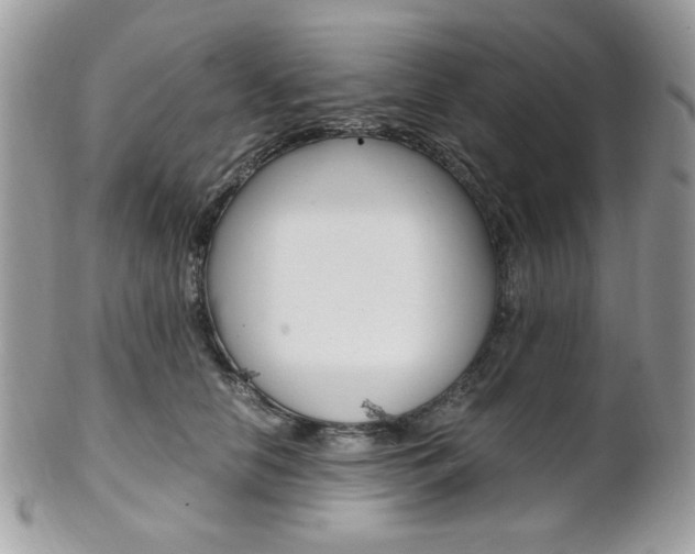 X0000101410658200807071008
