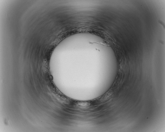 X0000101410659200807071008