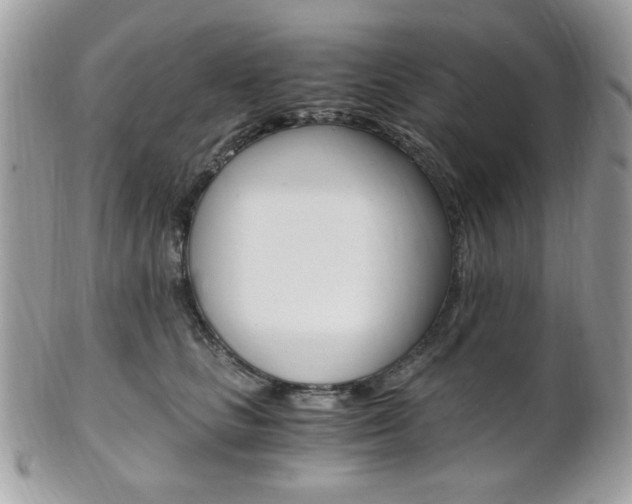 X0000101410661200807071008