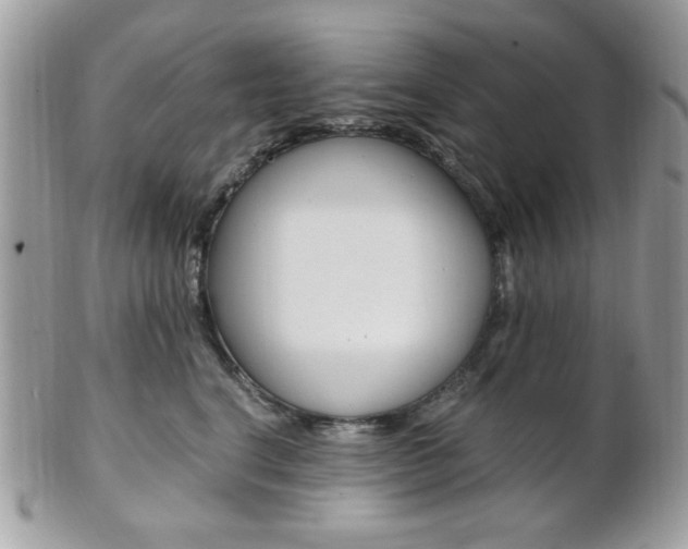 X0000101410664200807071008