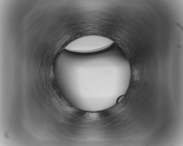 X0000101410665200807071008