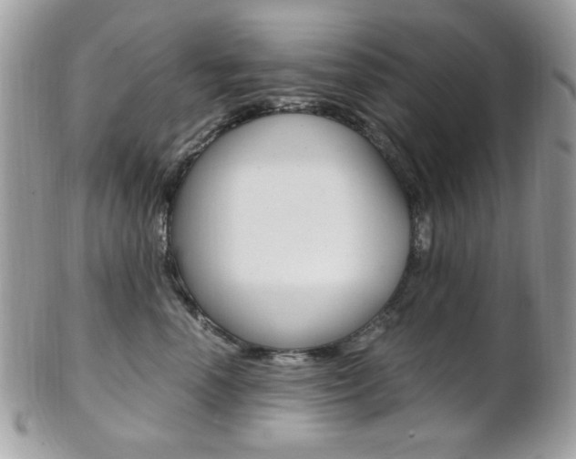 X0000101410666200807071008